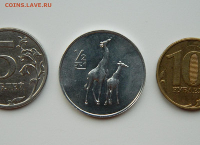 2 чон 2002 г. (Юбилейная) Жираф до 25.11.24 - DSCN3044.JPG
