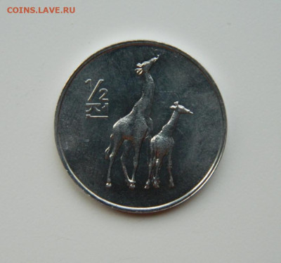 2 чон 2002 г. (Юбилейная) Жираф до 25.11.24 - DSCN3045.JPG