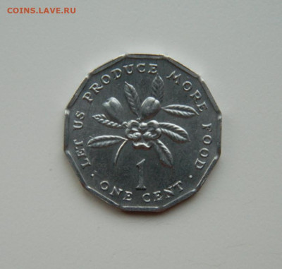 Ямайка 1 цент 1977 г. (ФАО)  до 25.11.24 - DSCN3053.JPG