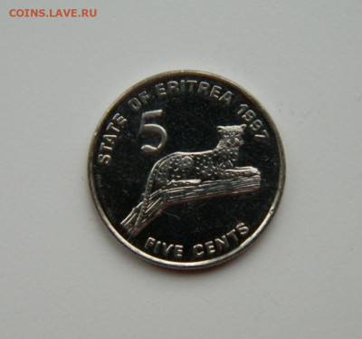 Эритрея 5 центов 1997 г. (Фауна) до 25.11.24 - DSCN3135.JPG
