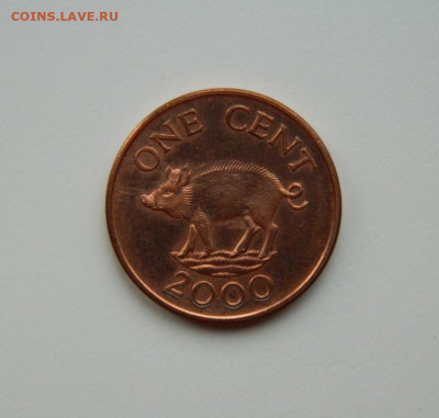 Бермудские острова 1 цент 2000 г. (Фауна) до 25.11.24 - DSCN3067.JPG