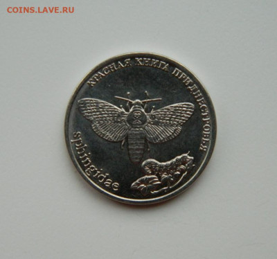 Приднестровье 1 рубль 2018 г. (Бабочка) до 25.11.24 - DSCN3058.JPG