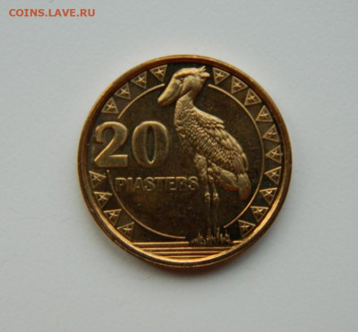 Южный Судан 20 пиастров 2015 г. (Фауна) до 25.11.24 - DSCN3037.JPG
