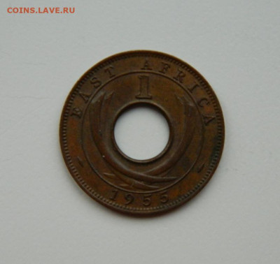 Британская Восточная Африка 1 цент 1955 г. до 26.11.24 - DSCN3159.JPG