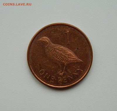 Гибралтар 1 пенни 2011 г. (Фауна) до 26.11.24 - DSCN3117.JPG