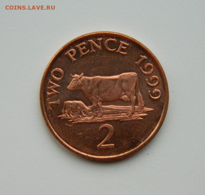 Гернси 2 пенса 1999 г. (Фауна) до 26.11.24 - DSCN3089.JPG