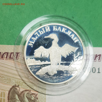 1 рубль 2003 г Малый баклан   до 22:00 по МСК 25.11.24 - 20241025_114810