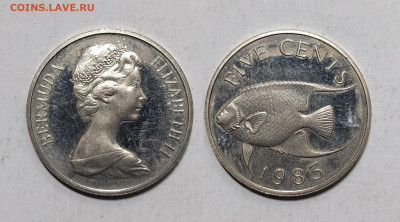 Бермуды 5 центов 1983 года Елизавета II - 23.11 - IMG_20241111_201234