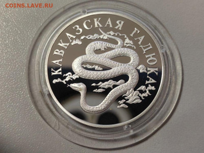 1руб 1999 Красная книга. Кавказская гадюка, Ag900, до 28.11 - 1р Гадюка-1