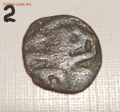 медные пула Золотой Орды - IH-53dt-dQY