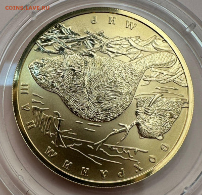 100 рублей 2008. Сохраним наш мир. Бобры. Короткий. Блиц. - dafa3446-1b25-4504-98af-42c20c59568e