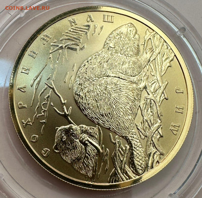 100 рублей 2008. Сохраним наш мир. Бобры. Короткий. Блиц. - 61824fba-cab0-41b3-914f-38d34999c3e8