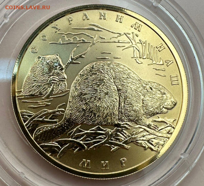 100 рублей 2008. Сохраним наш мир. Бобры. Короткий. Блиц. - 8