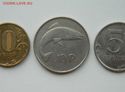 Ирландия 10 пенсов 1974 г. (Фауна). до 30.11.24 - DSCN2974.JPG