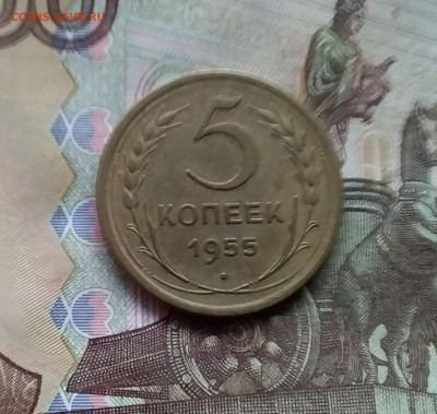 5 копеек 1955. До 28.11.24 в 22.00 - 20241124_153537