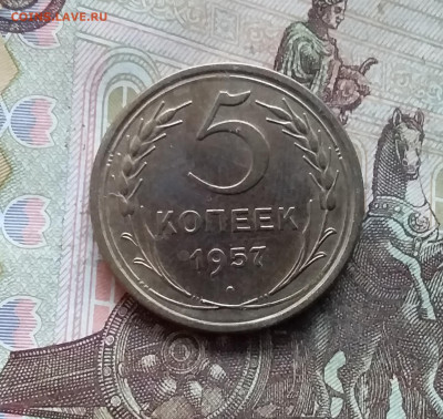 5 копеек 1957. До 28.11.24 в 22.00 - 20241124_154128