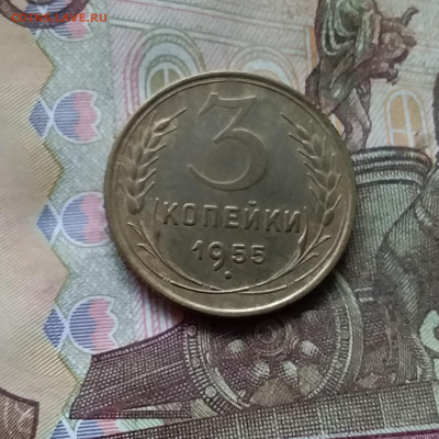 3 копейки 1955. До 28.11.24 в 22.00 - 20241124_170723