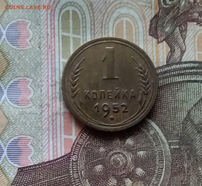 1 копейка 1952. До 28.11.24 в 22.00 - 20241124_193825