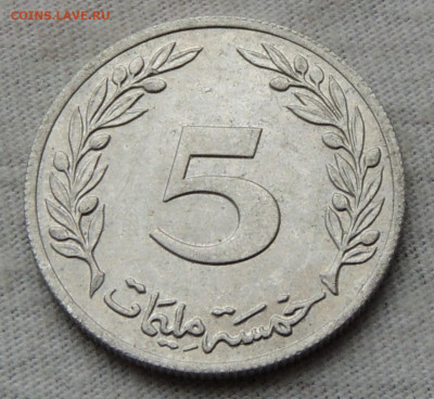 Тунис 5 миллимов 1983 до 1.12.2024 - Тунис 5 миллимов 83.JPG