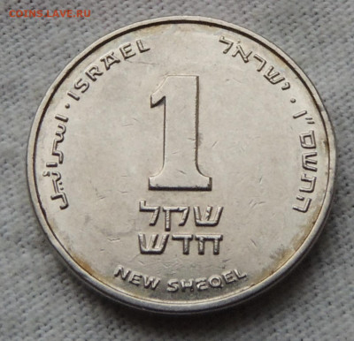 Израиль 1 новый шекель 2006 до 1.12.2024 - 1 шекель.JPG