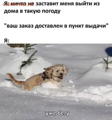 Юмор - 1