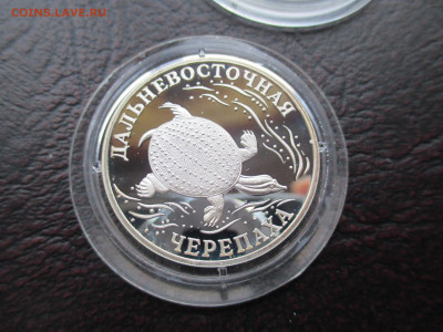 1р 2003 Черепаха - IMG_0046.JPG