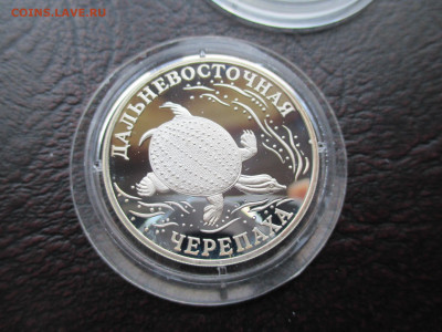 1р 2003 Черепаха - IMG_0047.JPG