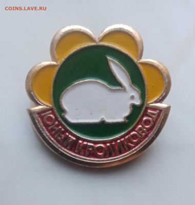 Знак юный кроликовод  до 04.12.24 в 22:00 по мск - IMG_20241128_092011
