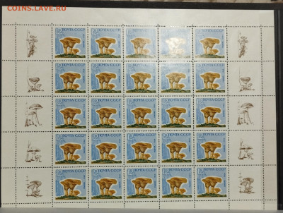 Полные листы с купонами "Грибы", 1964г., на оценку. - IMG_20241127_152609