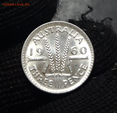Австралия 3 пенса 1960 года, серебро. ШИКАРНАЯ До 04.12 - 20241010_185649