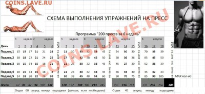 10000 отжиманий до 12.12.12. СТАРТ 30.01.2012!!! - СХЕМА ВЫПОЛНЕНИЯ УПРАЖНЕНИЙ НА ПРЕСС