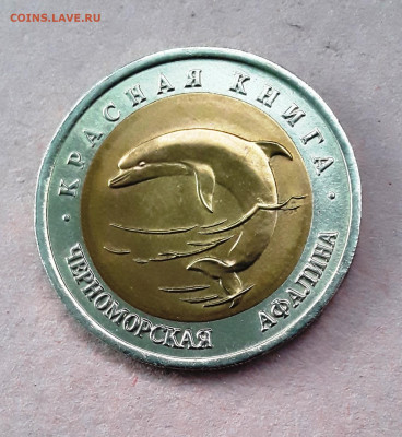 КК 50 руб. Афалина до 02.12.22:00 - 5 афалина