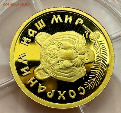 50 рублей 1996 г. РФ. Амурский тигр. 1.12.2024. Блиц. - 5