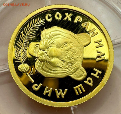50 рублей 1996 г. РФ. Амурский тигр. 1.12.2024. Блиц. - 4