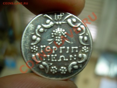 помогите опознать - DSCN2404.JPG