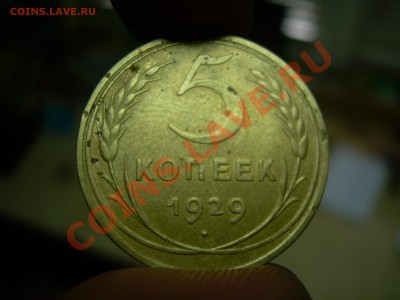 5 копеек 1929-до 03.02.12. 22-00 мск - DSCN2388.JPG