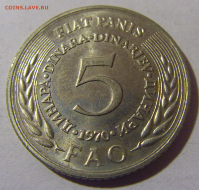 5 динар 1970 ФАО Югославия №1 06.12.2024 22:00 МСК - CIMG0259.JPG
