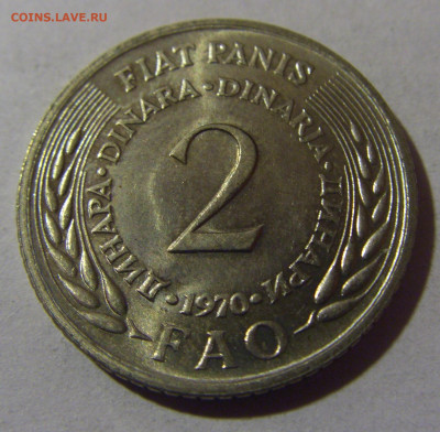 2 динара 1970 ФАО Югославия №1 06.12.2024 22:00 МСК - CIMG0267.JPG