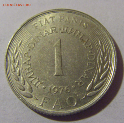 1 динар 1976 ФАО Югославия №1 06.12.2024 22:00 МСК - CIMG0275.JPG