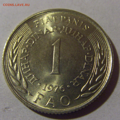 1 динар 1976 ФАО Югославия №2 06.12.2024 22:00 МСК - CIMG0279.JPG