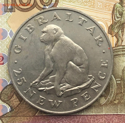 Гибралтар 25 пенсов 1971 Обезьяна до 04.12.2024 - IMG_E3443.JPG