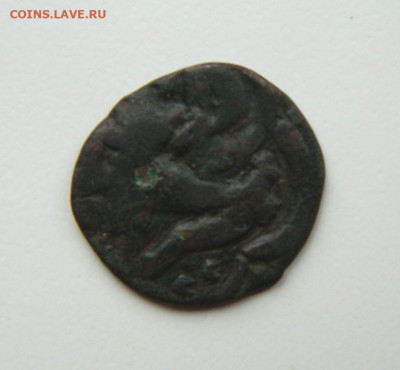 Пул "Гаруда" Сарай аль-Джадид 792 г.Х. С рубля! до 06.12.24 - DSCN3343.JPG