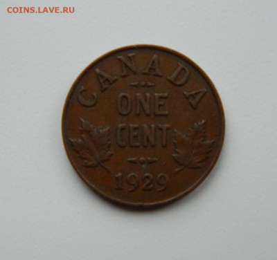 Канада 1 цент 1929 г. до 08.12.24 - DSCN3382.JPG