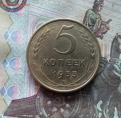 5 копеек 1953. До 07.12.24 в 22.00 - 20241202_160354