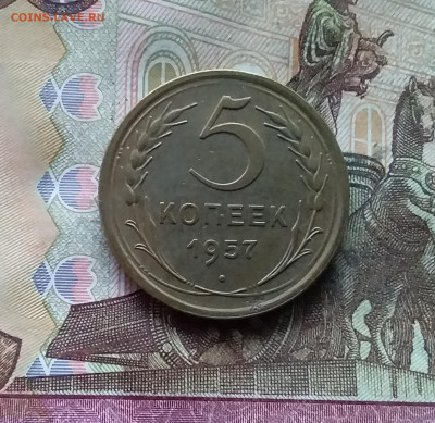 5 копеек 1957. До 07.12.24 в 22.00 - 20241202_161619