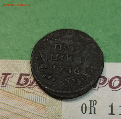 Полушка 1736   до 22:00 по МСК 08.12.24 - 20241202_163453