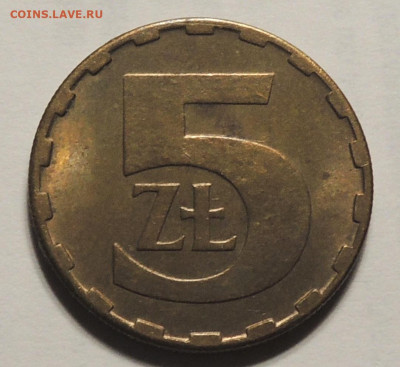 Польша 5 злотых 1988 до 5.12.2024 - Польша 5 злотых 88 .JPG