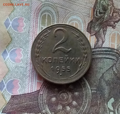 2 копейки 1955. До 07.12.24 в 22.00 - 20241202_233449