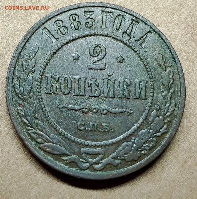 22.00 - IMG_20241203_033330~2