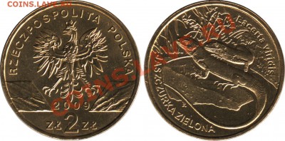 2-х злотовые монеты Польши - 2_zl_2009_Polska_Jaszczurka_zielona_Lacerta_viridis_foto_o